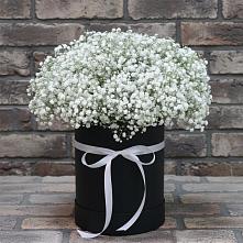 Цветочная композиция из Гипсофила в шляпной коробке #REPLACE_PRED# Комсомольске Кемеровской области